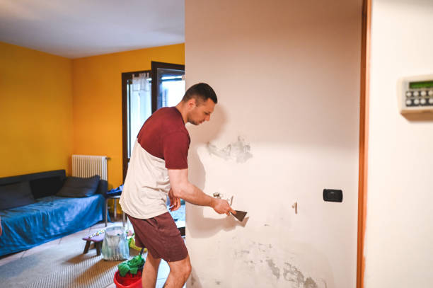 Best Black Mold Removal  in Honeyville, UT